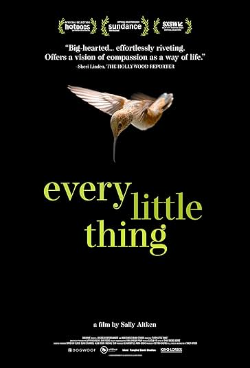 Every Little Thing 